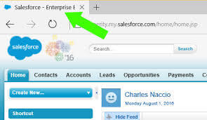 What Version of Salesforce Do I Have Using Internet Explorer