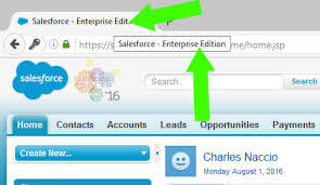 What Version of Salesforce Do I Have Using FireFox